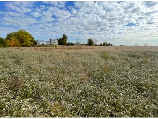 Property photo 38 - REAL ESTATE AUCTION 120 +/- ACRES OFFERED IN 4 TRACTS - DEKALB COUNTY, INDIANA