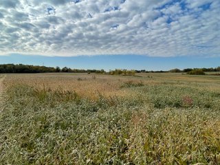 Property photo 37 - REAL ESTATE AUCTION 120 +/- ACRES OFFERED IN 4 TRACTS - DEKALB COUNTY, INDIANA