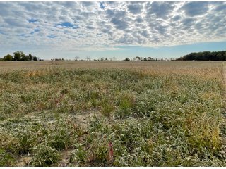 Property photo 36 - REAL ESTATE AUCTION 120 +/- ACRES OFFERED IN 4 TRACTS - DEKALB COUNTY, INDIANA