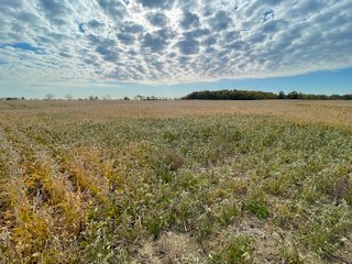 Property photo 34 - REAL ESTATE AUCTION 120 +/- ACRES OFFERED IN 4 TRACTS - DEKALB COUNTY, INDIANA