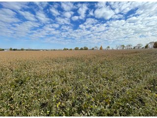 Property photo 32 - REAL ESTATE AUCTION 120 +/- ACRES OFFERED IN 4 TRACTS - DEKALB COUNTY, INDIANA