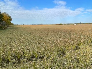 Property photo 30 - REAL ESTATE AUCTION 120 +/- ACRES OFFERED IN 4 TRACTS - DEKALB COUNTY, INDIANA