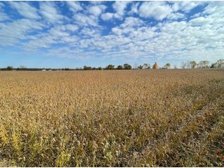 Property photo 28 - REAL ESTATE AUCTION 120 +/- ACRES OFFERED IN 4 TRACTS - DEKALB COUNTY, INDIANA
