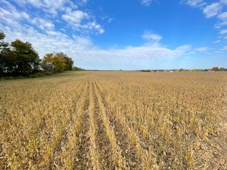 Property photo 26 - REAL ESTATE AUCTION 120 +/- ACRES OFFERED IN 4 TRACTS - DEKALB COUNTY, INDIANA