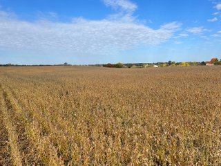 Property photo 25 - REAL ESTATE AUCTION 120 +/- ACRES OFFERED IN 4 TRACTS - DEKALB COUNTY, INDIANA
