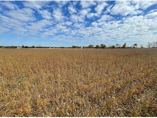 Property photo 24 - REAL ESTATE AUCTION 120 +/- ACRES OFFERED IN 4 TRACTS - DEKALB COUNTY, INDIANA