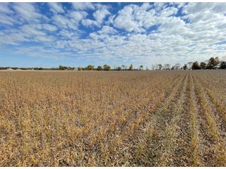 Property photo 23 - REAL ESTATE AUCTION 120 +/- ACRES OFFERED IN 4 TRACTS - DEKALB COUNTY, INDIANA