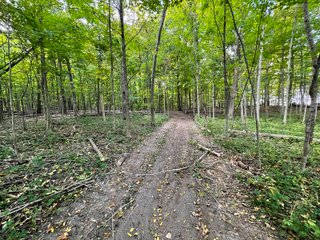 Property photo 22 - REAL ESTATE AUCTION 120 +/- ACRES OFFERED IN 4 TRACTS - DEKALB COUNTY, INDIANA