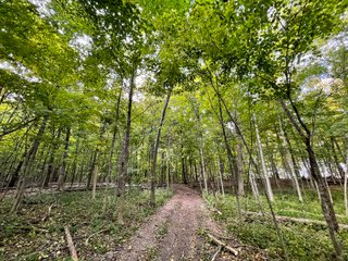 Property photo 21 - REAL ESTATE AUCTION 120 +/- ACRES OFFERED IN 4 TRACTS - DEKALB COUNTY, INDIANA