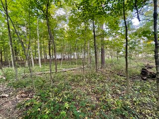 Property photo 20 - REAL ESTATE AUCTION 120 +/- ACRES OFFERED IN 4 TRACTS - DEKALB COUNTY, INDIANA
