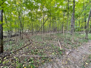 Property photo 19 - REAL ESTATE AUCTION 120 +/- ACRES OFFERED IN 4 TRACTS - DEKALB COUNTY, INDIANA