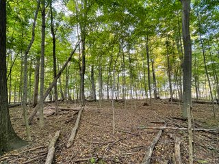 Property photo 18 - REAL ESTATE AUCTION 120 +/- ACRES OFFERED IN 4 TRACTS - DEKALB COUNTY, INDIANA