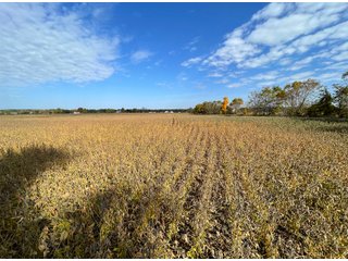 Property photo 16 - REAL ESTATE AUCTION 120 +/- ACRES OFFERED IN 4 TRACTS - DEKALB COUNTY, INDIANA