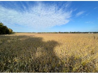 Property photo 15 - REAL ESTATE AUCTION 120 +/- ACRES OFFERED IN 4 TRACTS - DEKALB COUNTY, INDIANA