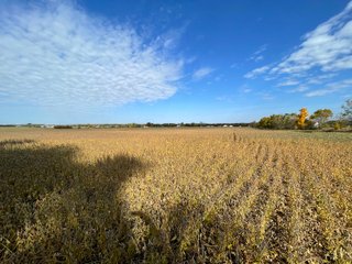 Property photo 14 - REAL ESTATE AUCTION 120 +/- ACRES OFFERED IN 4 TRACTS - DEKALB COUNTY, INDIANA