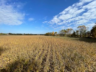 Property photo 13 - REAL ESTATE AUCTION 120 +/- ACRES OFFERED IN 4 TRACTS - DEKALB COUNTY, INDIANA