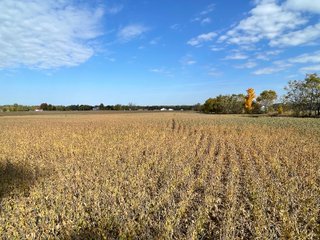 Property photo 12 - REAL ESTATE AUCTION 120 +/- ACRES OFFERED IN 4 TRACTS - DEKALB COUNTY, INDIANA