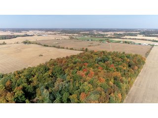 Property photo 9 - REAL ESTATE AUCTION 120 +/- ACRES OFFERED IN 4 TRACTS - DEKALB COUNTY, INDIANA