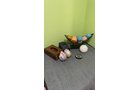 Property photo 10 - TIMED ONLINE ONLY PERSONAL PROPERTY AUCTION IN ALLEN COUNTY, INDIANA