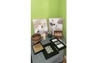 Property photo 96 - TIMED ONLINE ONLY PERSONAL PROPERTY AUCTION IN ALLEN COUNTY, INDIANA