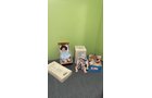 Property photo 97 - TIMED ONLINE ONLY PERSONAL PROPERTY AUCTION IN ALLEN COUNTY, INDIANA