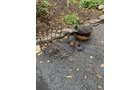Property photo 147 - TIMED ONLINE ONLY PERSONAL PROPERTY AUCTION IN ALLEN COUNTY, INDIANA