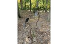 Property photo 152 - TIMED ONLINE ONLY PERSONAL PROPERTY AUCTION IN ALLEN COUNTY, INDIANA