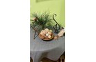 Property photo 225 - TIMED ONLINE ONLY PERSONAL PROPERTY AUCTION IN ALLEN COUNTY, INDIANA