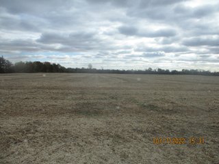 Property photo 1 - LAND AUCTION - 51.744+/- ACRES OFFERED IN 1 TRACT IN HANCOCK COUNTY, INDIANA