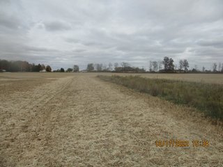Property photo 5 - LAND AUCTION - 51.744+/- ACRES OFFERED IN 1 TRACT IN HANCOCK COUNTY, INDIANA