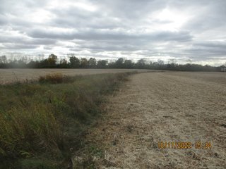 Property photo 6 - LAND AUCTION - 51.744+/- ACRES OFFERED IN 1 TRACT IN HANCOCK COUNTY, INDIANA