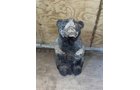 Property photo 17 - TIMED ONLINE ONLY PERSONAL PROPERTY AUCTION IN WOOD COUNTY, OH