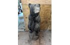 Property photo 18 - TIMED ONLINE ONLY PERSONAL PROPERTY AUCTION IN WOOD COUNTY, OH