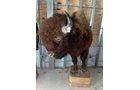 Property photo 75 - TIMED ONLINE ONLY PERSONAL PROPERTY AUCTION IN WOOD COUNTY, OH