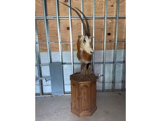 Property photo 78 - TIMED ONLINE ONLY PERSONAL PROPERTY AUCTION IN WOOD COUNTY, OH