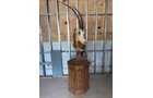 Property photo 78 - TIMED ONLINE ONLY PERSONAL PROPERTY AUCTION IN WOOD COUNTY, OH