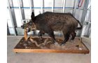 Property photo 79 - TIMED ONLINE ONLY PERSONAL PROPERTY AUCTION IN WOOD COUNTY, OH