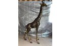 Property photo 84 - TIMED ONLINE ONLY PERSONAL PROPERTY AUCTION IN WOOD COUNTY, OH