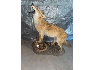 Property photo 89 - TIMED ONLINE ONLY PERSONAL PROPERTY AUCTION IN WOOD COUNTY, OH