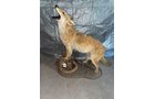 Property photo 89 - TIMED ONLINE ONLY PERSONAL PROPERTY AUCTION IN WOOD COUNTY, OH