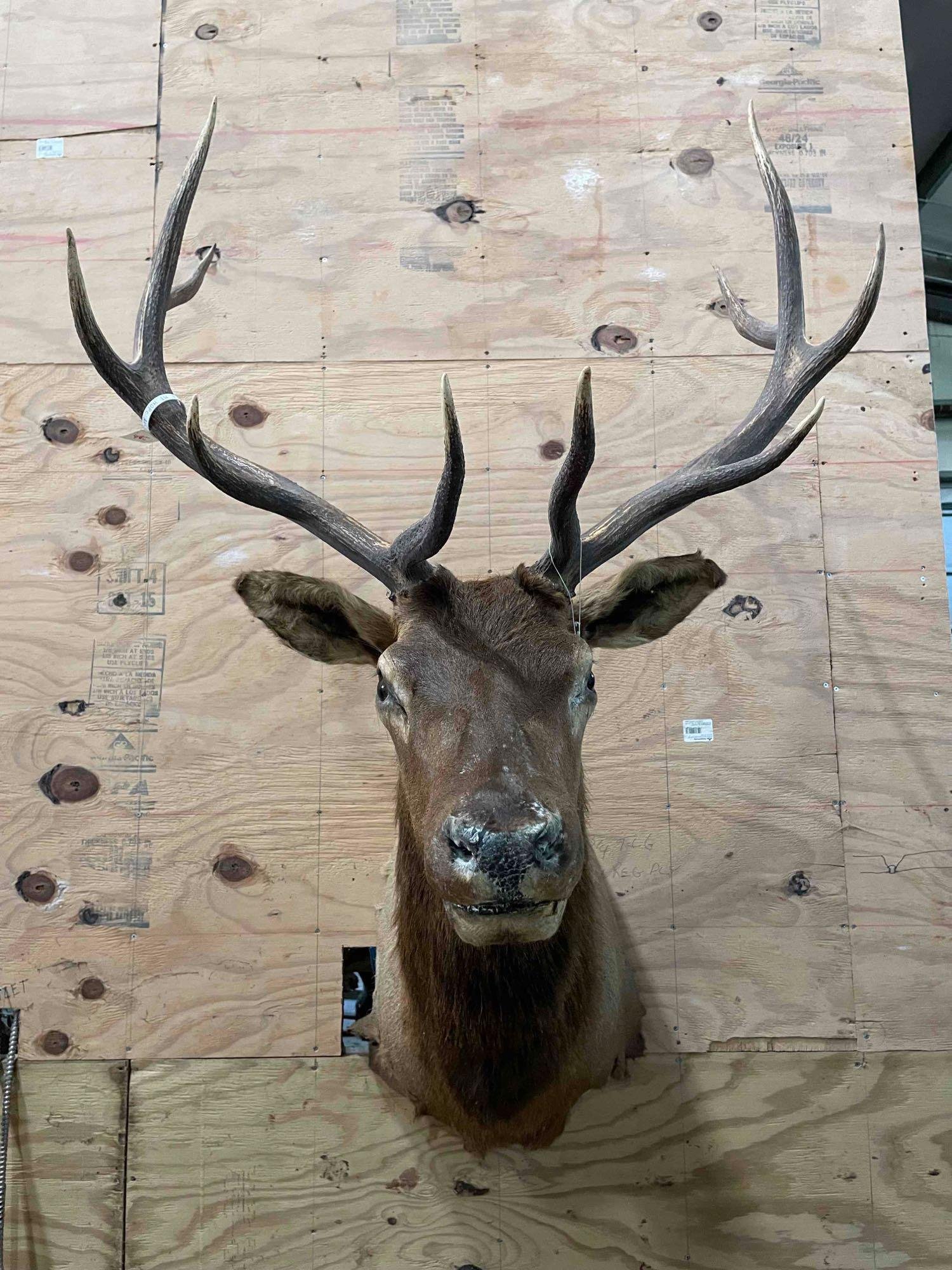 Property photo 99 - TIMED ONLINE ONLY PERSONAL PROPERTY AUCTION IN WOOD COUNTY, OH