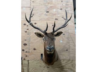 Property photo 99 - TIMED ONLINE ONLY PERSONAL PROPERTY AUCTION IN WOOD COUNTY, OH