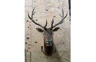 Property photo 99 - TIMED ONLINE ONLY PERSONAL PROPERTY AUCTION IN WOOD COUNTY, OH