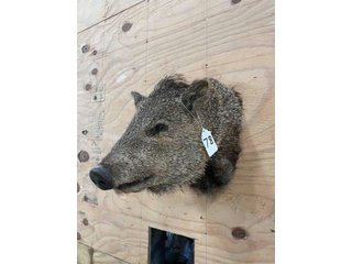 Property photo 103 - TIMED ONLINE ONLY PERSONAL PROPERTY AUCTION IN WOOD COUNTY, OH