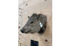 Property photo 103 - TIMED ONLINE ONLY PERSONAL PROPERTY AUCTION IN WOOD COUNTY, OH