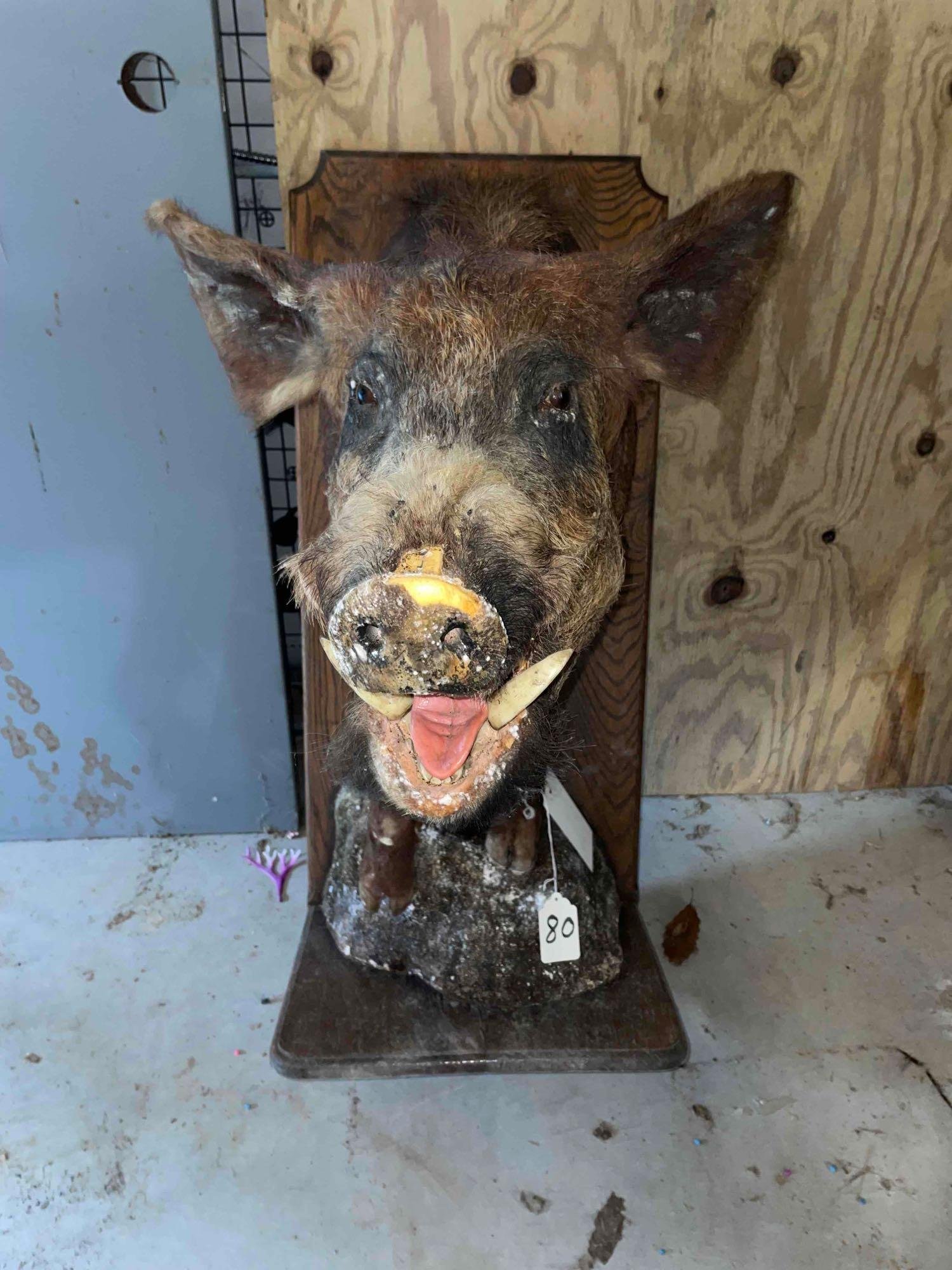 Property photo 106 - TIMED ONLINE ONLY PERSONAL PROPERTY AUCTION IN WOOD COUNTY, OH