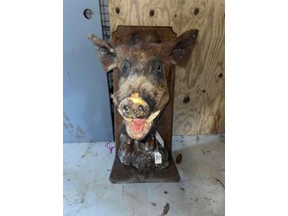 Property photo 106 - TIMED ONLINE ONLY PERSONAL PROPERTY AUCTION IN WOOD COUNTY, OH