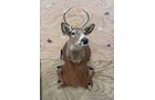Property photo 108 - TIMED ONLINE ONLY PERSONAL PROPERTY AUCTION IN WOOD COUNTY, OH