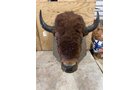 Property photo 109 - TIMED ONLINE ONLY PERSONAL PROPERTY AUCTION IN WOOD COUNTY, OH