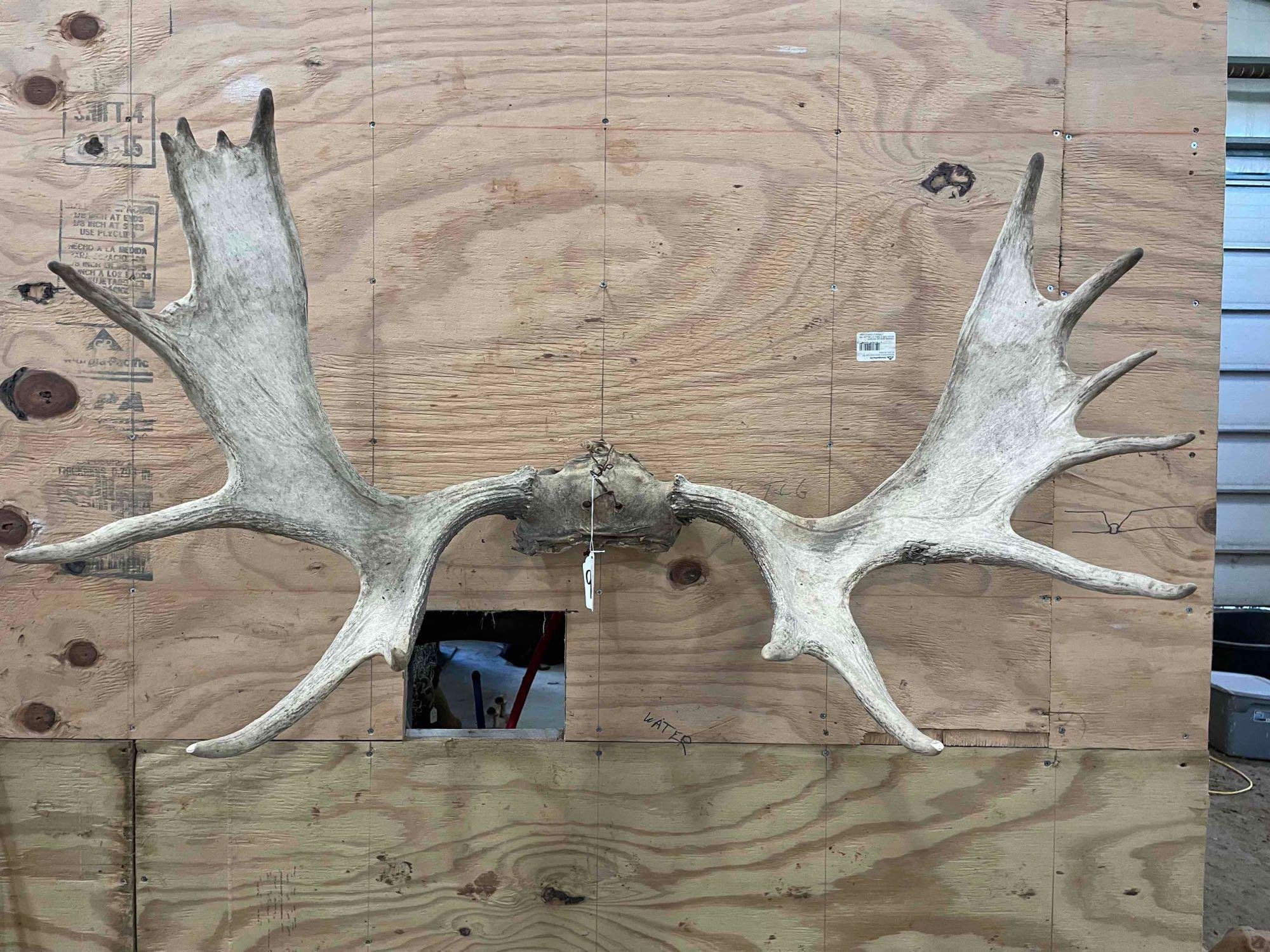 Property photo 119 - TIMED ONLINE ONLY PERSONAL PROPERTY AUCTION IN WOOD COUNTY, OH